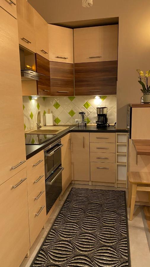 Lublinbnb - Exclusive Family Apartment ------ In The Heart Of Lublin -------------------------------- Bedroom & Living Room & Kitchen Zewnętrze zdjęcie